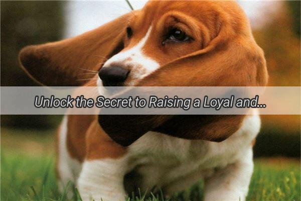 Unlock the Secret to Raising a Loyal and WhiteEyed Feline or Canine Discover the Art of Taming the WhiteEyed Wolf